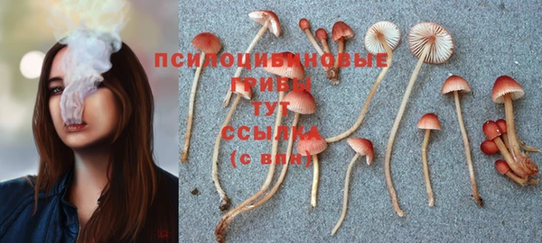не бодяженный Корсаков